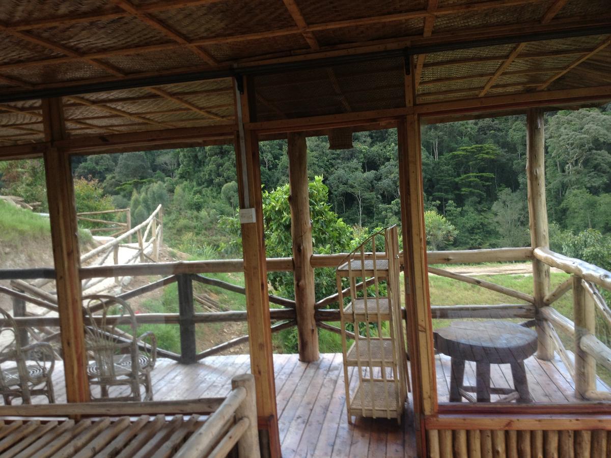Rushaga Gorilla Lodge Bugambira 客房 照片